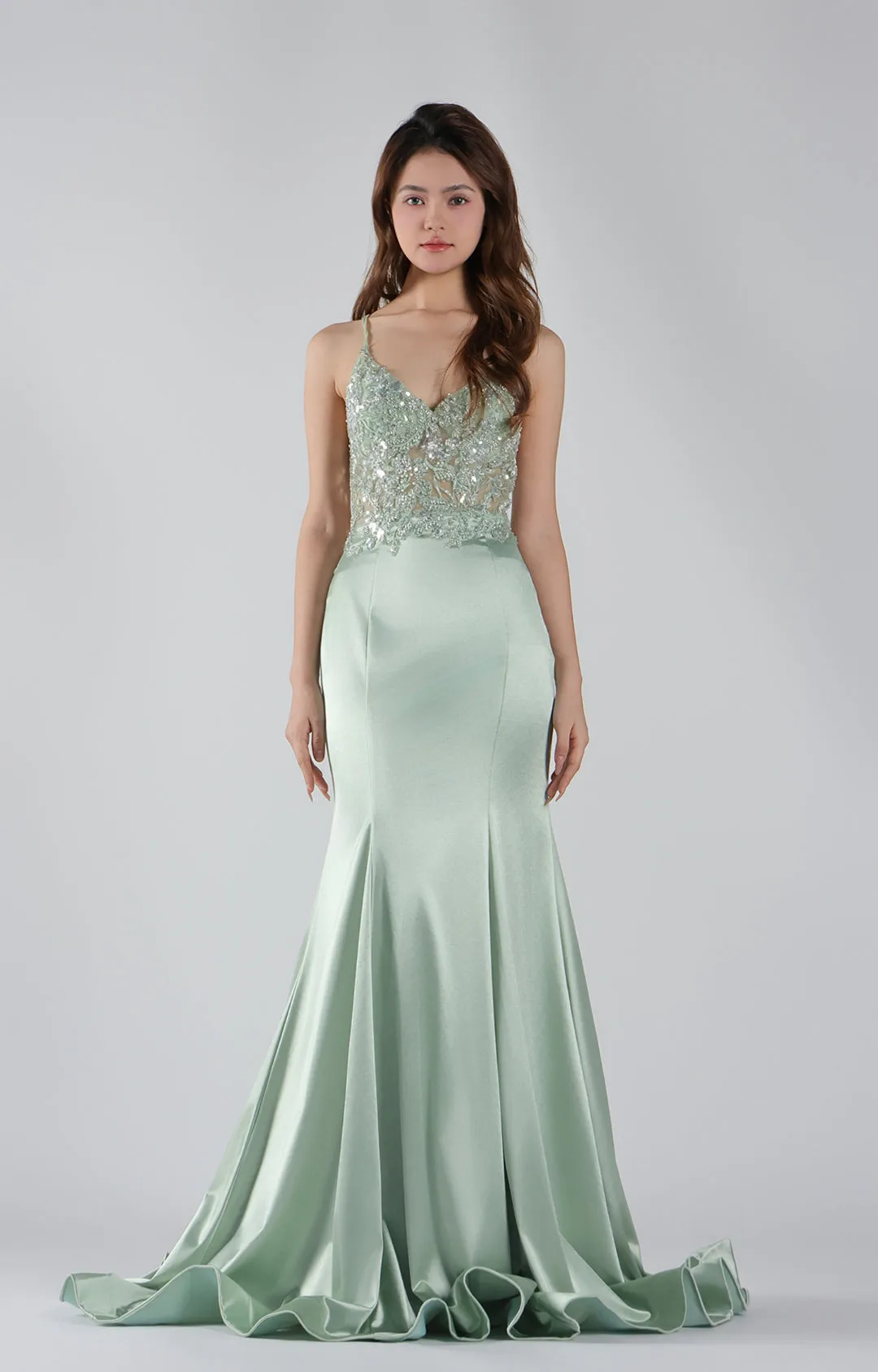 Spaghetti Straps See Through  Embroidered Sequin Mermaid