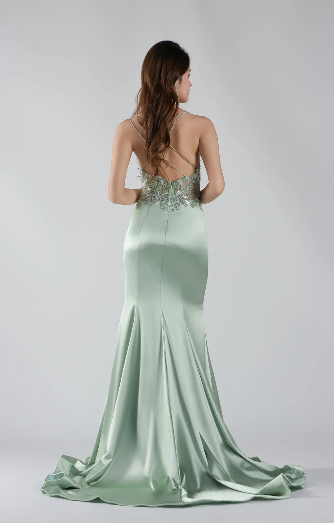 Spaghetti Straps See Through  Embroidered Sequin Mermaid